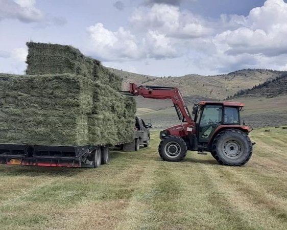 3+MPH+Ranch+-+Grass+hay+bundles Tractor loading large hay bales onto a flatbed truck in a rural landscape with rolling hills and cloudy skies.