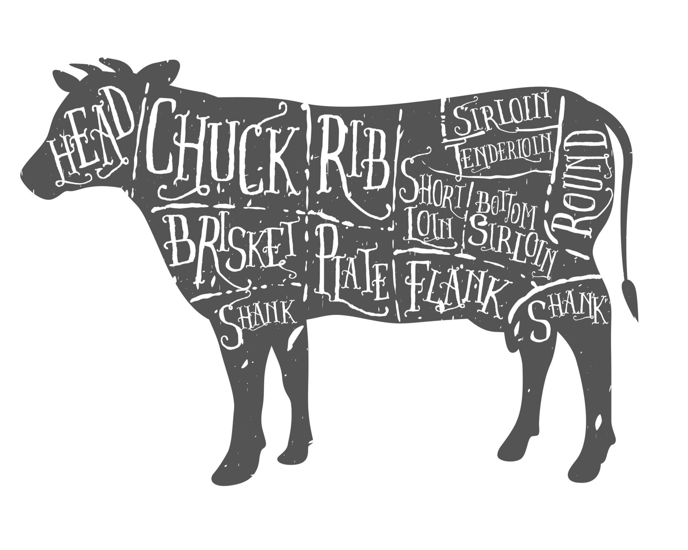beef_cuts_diagram2 Illustration of a cow silhouette labeled with various cuts of beef, including chuck, rib, brisket, sirloin, and flank, showcasing the different sections for culinary reference.